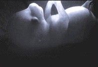 Embryo 34. Tag