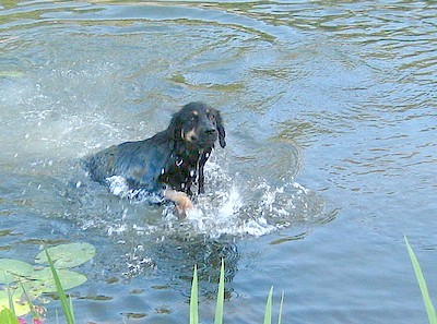 Anusha schwimmt