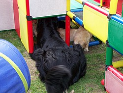 Mutti und Kinder im Spielplatz
