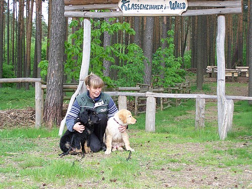 Schule im Wald für Hundekinder